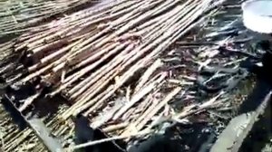 1. Утепление Дома Камышем 15.09.20