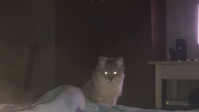 Ночной тыгыдык смотреть онлайн