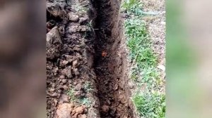 Разводка по участку летней воды. 80 м трубы. Часть 1