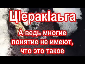 А ведь многие понятие не имеют, что это такое. ЦIеракIаьга - снежная блоха. Бовза беза Наьна Мотт!