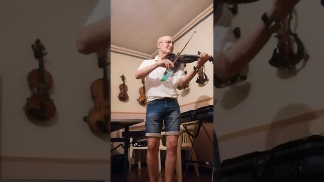 Luci della ribalta di C. Chaplin adattamento per violino di Enrico Salvetti