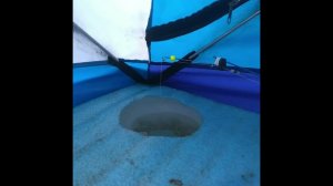 Кивок «Сани с Кубани» балансирный