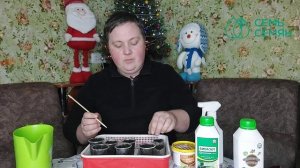 КАК ВЫРАСТИТЬ ДЕЛЬФИНИУМ НОВОЗЕЛАНДСКИЙ ИЗ СЕМЯН!