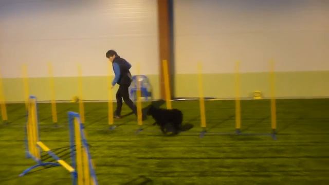 07.01.17. Слалом. Бенни. смотреть онлайн