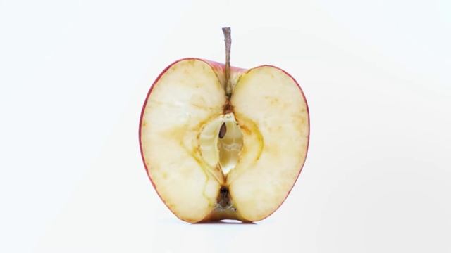 Экосфера смотреть онлайн