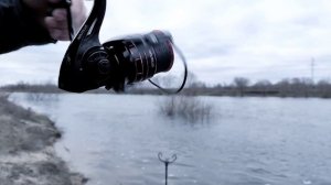 Обзор новинки 2023 года! Фидерная катушка Nautilus Forward feeder