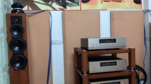 E 800 accuphase 50w class A + Elac fs 409 200w + Dp 600 accuphase