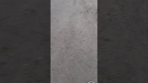 ТЕСТ УНИВЕРСАЛЬНЫХ КЛЮЧЕЙ ОТ StarNew