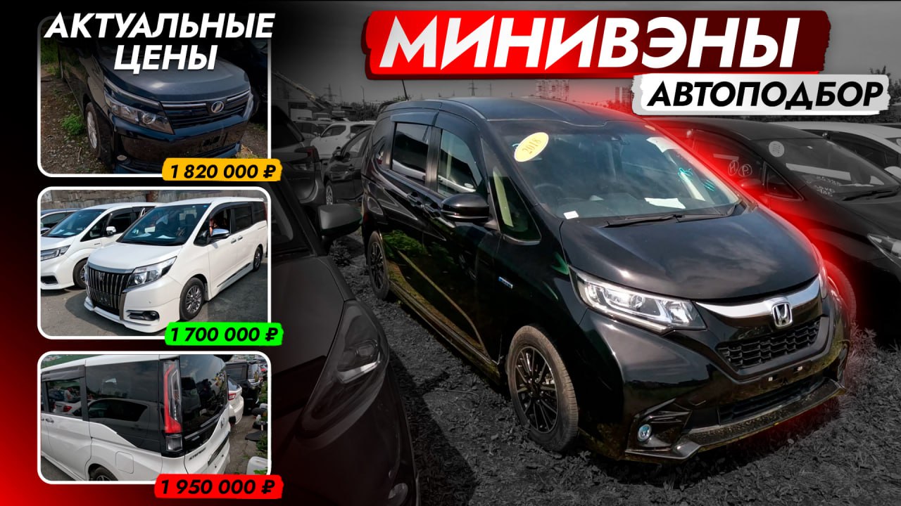 Honda freed modulo. Хонда Фрид modulo x. Хонда Staria. Хонда правый Фрид.