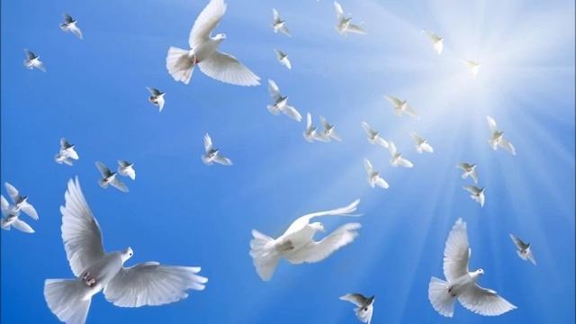 А.В. Клюев - Смирение во всём. Что такое Истина. 21/21 смотреть онлайн