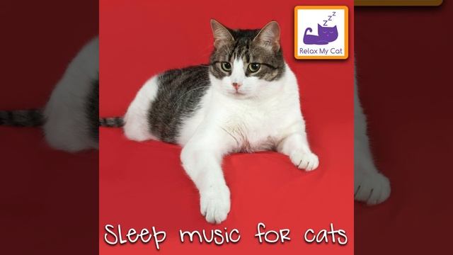 Winter Sleep смотреть онлайн