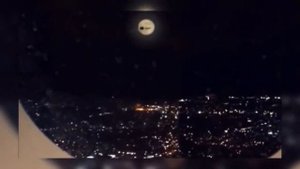 ТОП 5 ДЕДОВ МОРОЗОВ СНЯТЫХ НА КАМЕРУ!