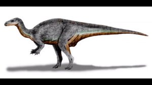 Топ 10 Необычных Динозавров в Мире