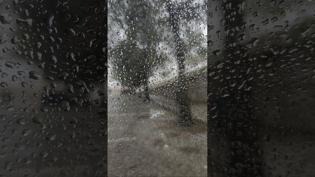 Canal do Lépido está em direto! Chuvinha 🌧️