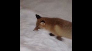 Прохлады Вам !