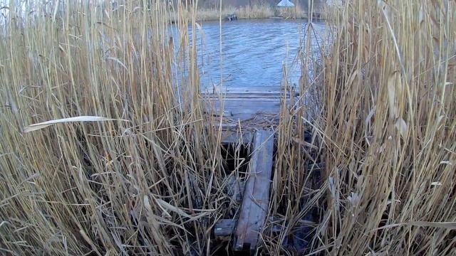 Наш Старый пруд зимой. смотреть онлайн