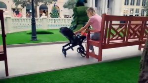 Коляска автокресло FooFoo & RolleR Limited Edition автокресло переноска с рождения до 12 мес.до 13к