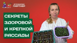 КАК ДОБИТЬСЯ РАННЕГО УРОЖАЯ И УБЕРЕЧЬ ВСХОДЫ ОТ ГИБЕЛИ