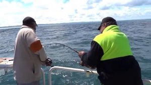 Рыбалка в Тасмановом море. Новая Зеландия. www.nztrips.ru