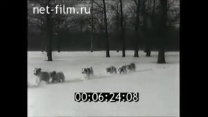 1955 - Клуб служебного собаководства ДОСААФ (Москва,СССР)