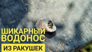 Абиссинская скважина 12м. Под камнями, водонос из ракушек, песка и окаменелостей.