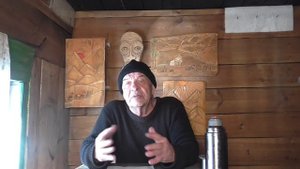 Выходят ли медведи зимой из берлоги