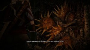 Прохождение The Witcher 3: Wild Hunt #11 - Деревня Штейгеров. Хозяйки леса