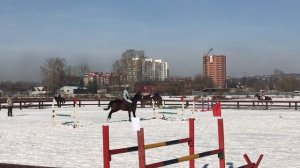 Соревнования/Иркутский ипподром/лошади/ конкур 100/80. "Лошади скользят по льду"?!