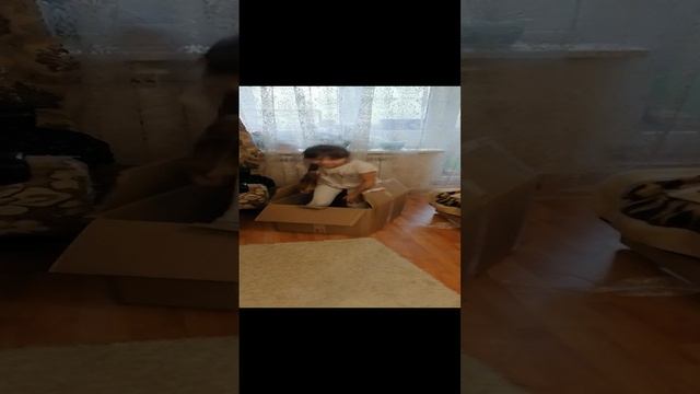 Я кукла! Вернулась в коробку.