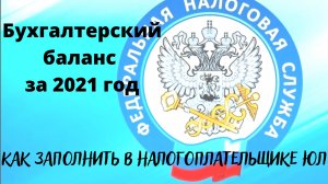 Как заполнить бухгалтерский баланс, отчет о финансовых результатах в программе налогоплательщик ЮЛ