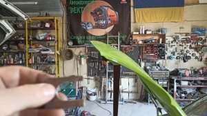 Chery QQ/Чери Кью кью не включается передача