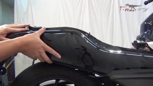 T-Rex Racing Honda CTX 700 Passenger Back Rest