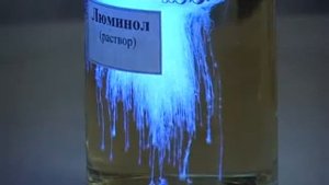 Выделение света - признак химической реакции. Свечение люминола