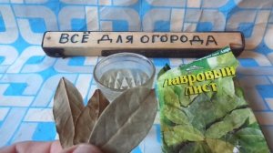 УБРАТЬ ОТЛОЖЕНИЕ СОЛЕЙ  из КОЛЕН и СУСТАВАХ можно за ЧАС.