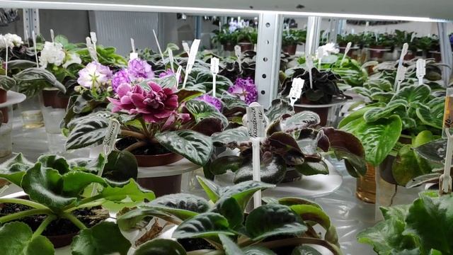 Последний в этом году обзор стеллажей. Новинки в коллекции. смотреть онлайн