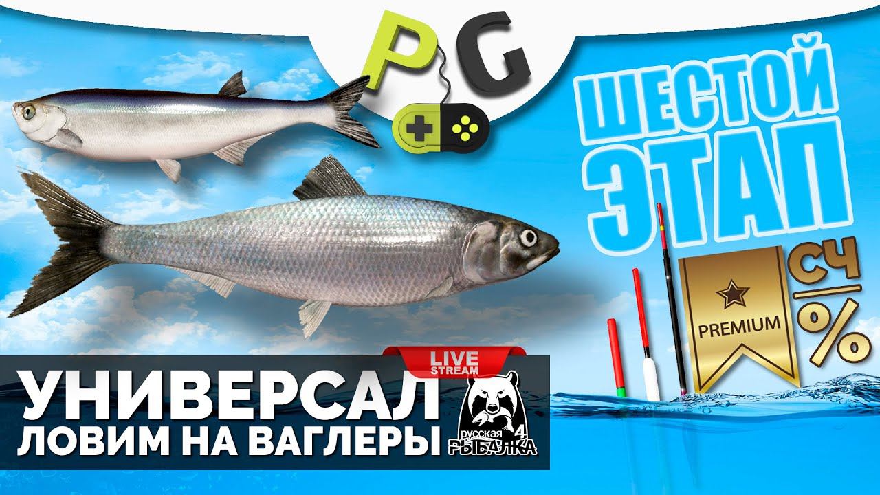 Русская Рыбалка 4 - Стрим Прокачка УНИВЕРСАЛА для 6-го этапа Стрим #17 Ловим на ваглеры смотреть онлайн
