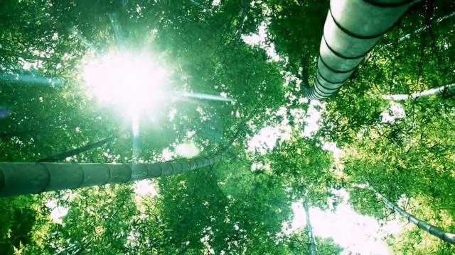 КРУЖИТ ВЕСНА ПОВТОРЕНИЕМ СЧАСТЬЯ И СЛЁЗ.. смотреть онлайн