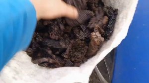 Перетопка воска, воскотопкой от мелиса 93