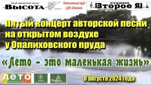 «Лето – это маленькая жизнь». Пятый концерт у Опалиховского пруда