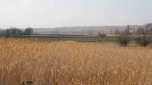 Между ногайцами и казаками. Природа