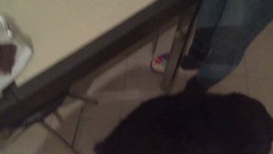 ЧТО БУДЕТ ЕСЛИ СВАРИТЬ CD ДИСК???