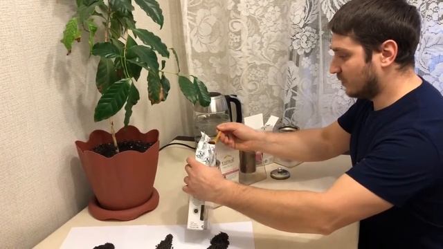 Обзор чая "Виндзор". Черные цейлонские чаи стандарта FBOP, Super Pekoe, Pekoe.