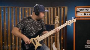 5 ти струнная бас гитара ARIA RSB 6185