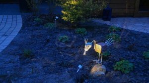 Уличное освещение на участке. Идеи: декоративная подсветка ландшафта и вечернее освещение сада