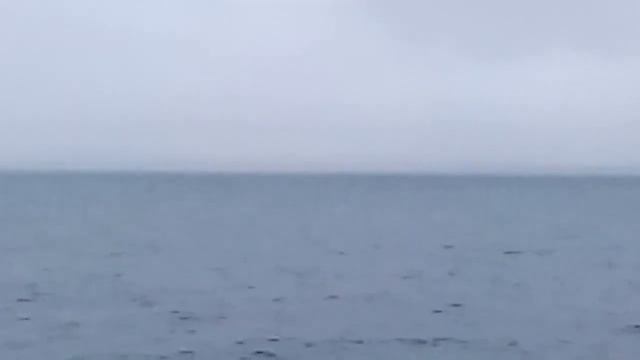 Касатки Камчатка/Killer whales in Kamchatka смотреть онлайн