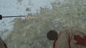 Первая рыбалка по льду 05.11.2021.mp4
