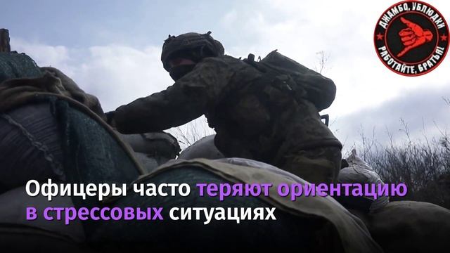 Бойцы украинской армии после начала контрнаступления стали жаловаться на недостаточную подготовку св