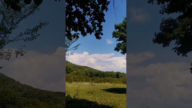 Дороги дороги ...