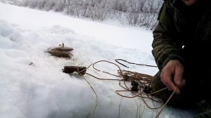 Река Чумыш. Рыбалка на перемет. Алтайский край.