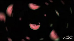 Чем заняться на улице